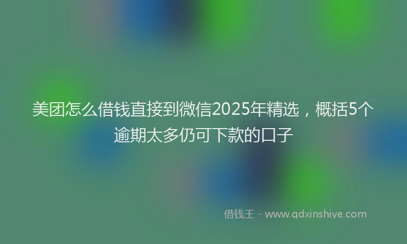 美团怎么借钱直接到微信2025年精选，概括5个逾期太多仍可下款的口子
