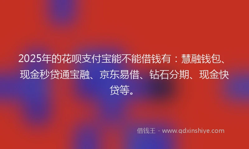 2025年的花呗支付宝能不能借钱有：慧融钱包、现金秒贷通宝融、京东易借、钻石分期、现金快贷等。
