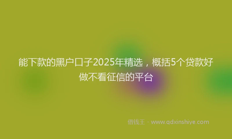 能下款的黑户口子2025年精选，概括5个贷款好做不看征信的平台