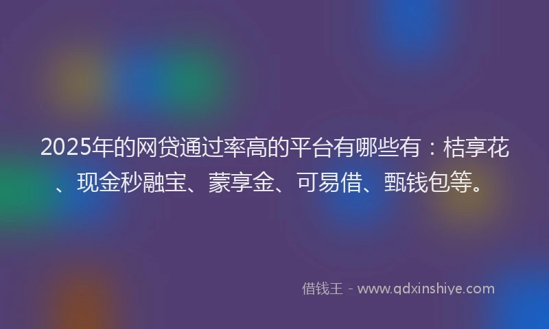 2025年的网贷通过率高的平台有哪些有：桔享花、现金秒融宝、蒙享金、可易借、甄钱包等。
