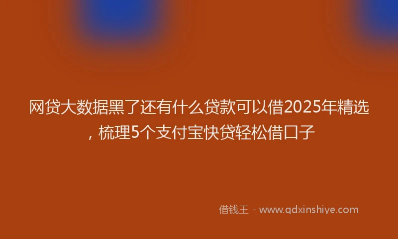 网贷大数据黑了还有什么贷款可以借2025年精选，梳理5个支付宝快贷轻松借口子