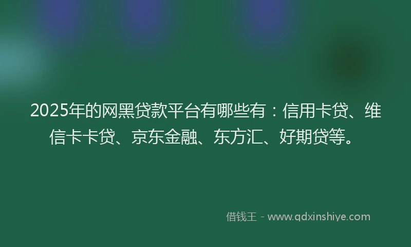 2025年的网黑贷款平台有哪些有：信用卡贷、维信卡卡贷、京东金融、东方汇、好期贷等。