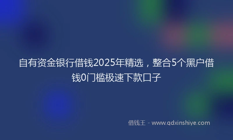 自有资金银行借钱2025年精选，整合5个黑户借钱0门槛极速下款口子