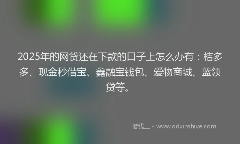 2025年的网贷还在下款的口子上怎么办有：桔多多、现金秒借宝、鑫融宝钱包、爱物商城、蓝领贷等。