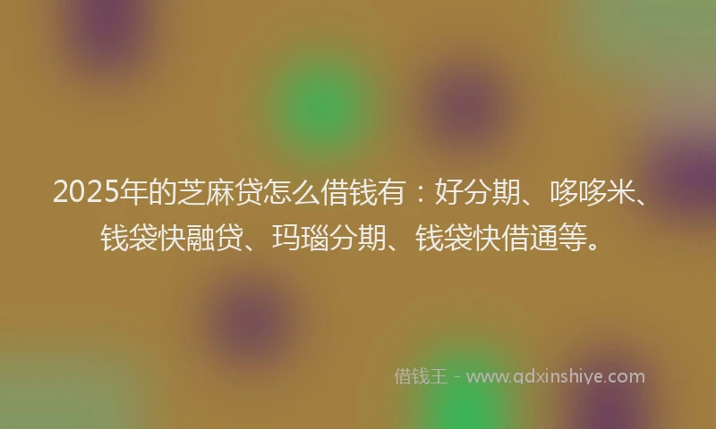2025年的芝麻贷怎么借钱有：好分期、哆哆米、钱袋快融贷、玛瑙分期、钱袋快借通等。