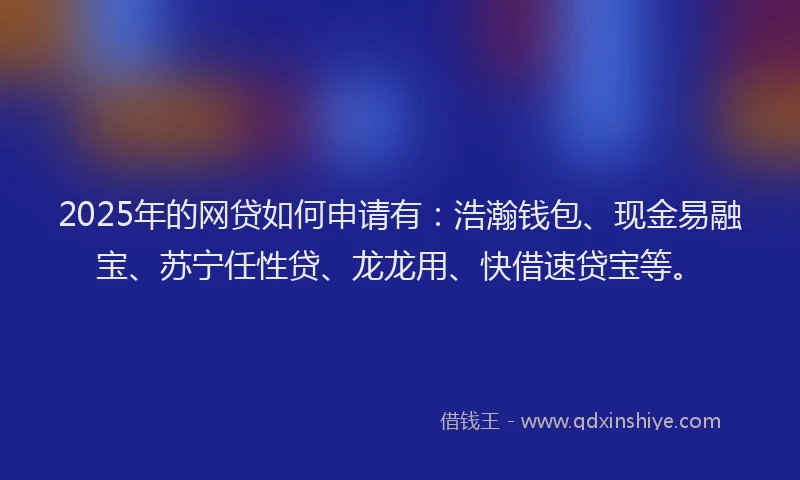 2025年的网贷如何申请有：浩瀚钱包、现金易融宝、苏宁任性贷、龙龙用、快借速贷宝等。