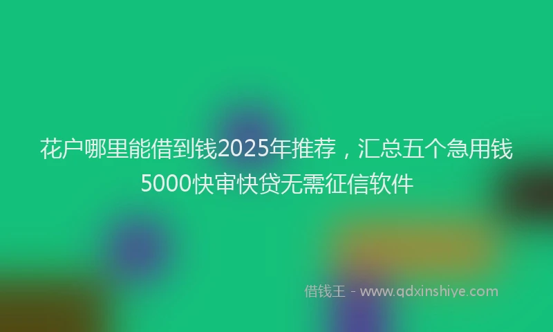 花户哪里能借到钱2025年推荐，汇总五个急用钱5000快审快贷无需征信软件