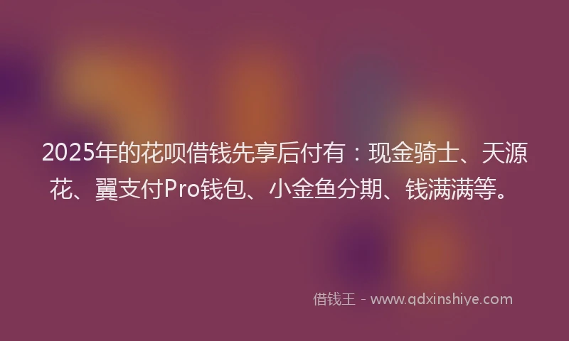 2025年的花呗借钱先享后付有：现金骑士、天源花、翼支付Pro钱包、小金鱼分期、钱满满等。