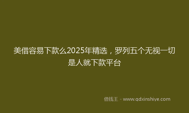 美借容易下款么2025年精选，罗列五个无视一切是人就下款平台