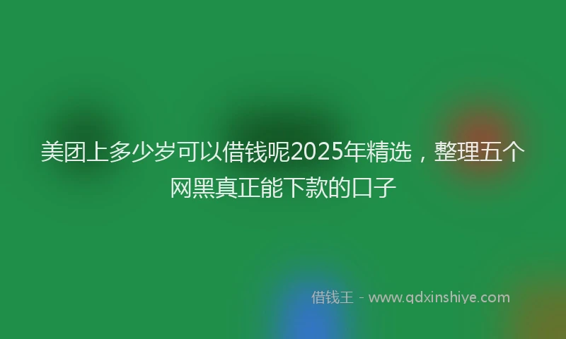 美团上多少岁可以借钱呢2025年精选，整理五个网黑真正能下款的口子