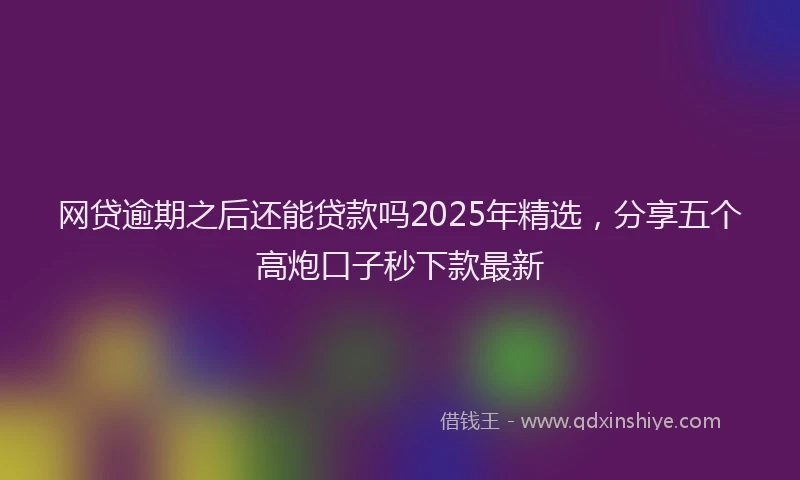 网贷逾期之后还能贷款吗2025年精选，分享五个高炮口子秒下款最新