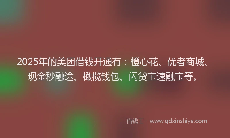 2025年的美团借钱开通有：橙心花、优者商城、现金秒融途、橄榄钱包、闪贷宝速融宝等。
