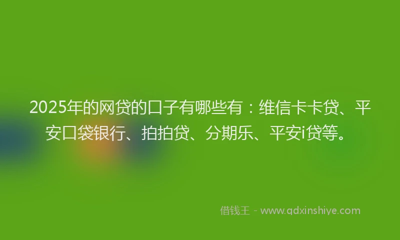 2025年的网贷的口子有哪些有：维信卡卡贷、平安口袋银行、拍拍贷、分期乐、平安i贷等。
