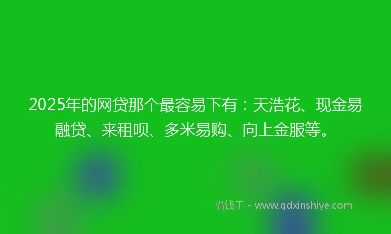 2025年的网贷那个最容易下有：天浩花、现金易融贷、来租呗、多米易购、向上金服等。