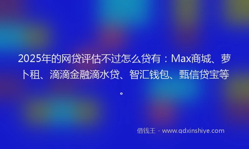 2025年的网贷评估不过怎么贷有：Max商城、萝卜租、滴滴金融滴水贷、智汇钱包、甄信贷宝等。