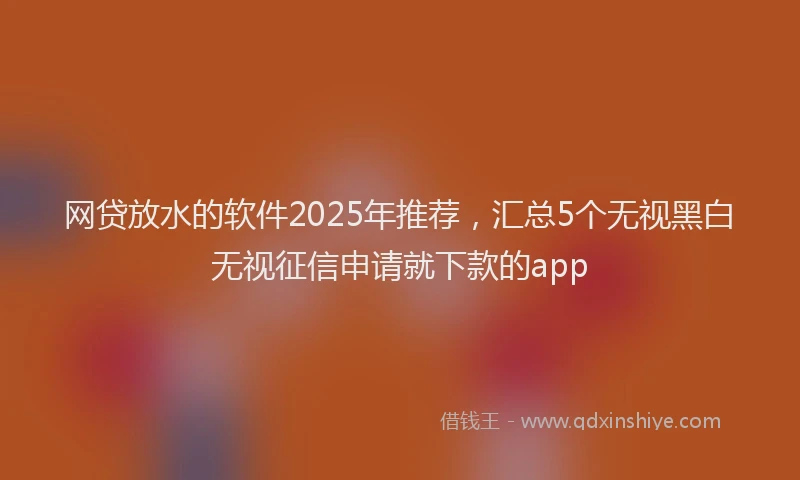 网贷放水的软件2025年推荐，汇总5个无视黑白无视征信申请就下款的app
