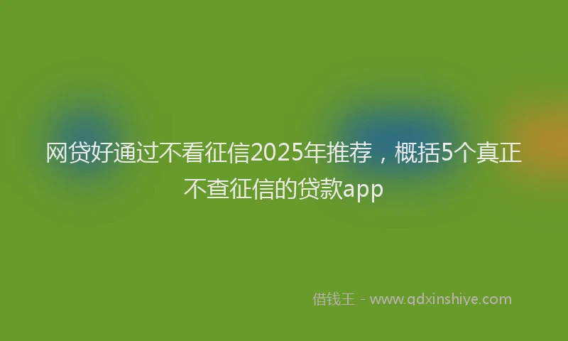 网贷好通过不看征信2025年推荐，概括5个真正不查征信的贷款app