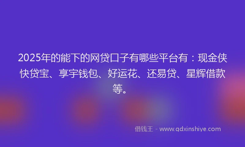 2025年的能下的网贷口子有哪些平台有：现金侠快贷宝、享宇钱包、好运花、还易贷、星辉借款等。