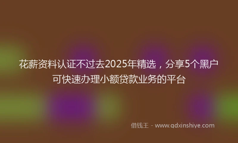 花薪资料认证不过去2025年精选，分享5个黑户可快速办理小额贷款业务的平台