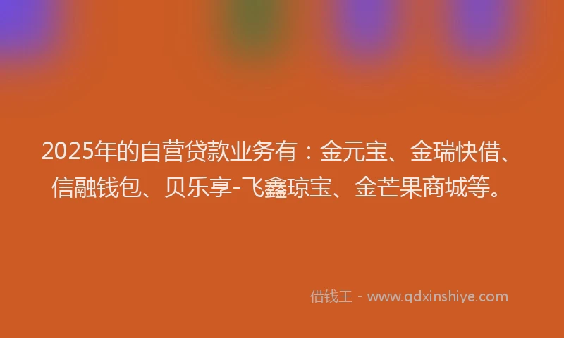 2025年的自营贷款业务有：金元宝、金瑞快借、信融钱包、贝乐享-飞鑫琼宝、金芒果商城等。