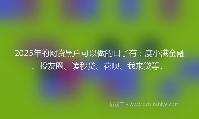 2025年的网贷黑户可以做的口子有：度小满金融、投友圈、读秒贷、花呗、我来贷等。