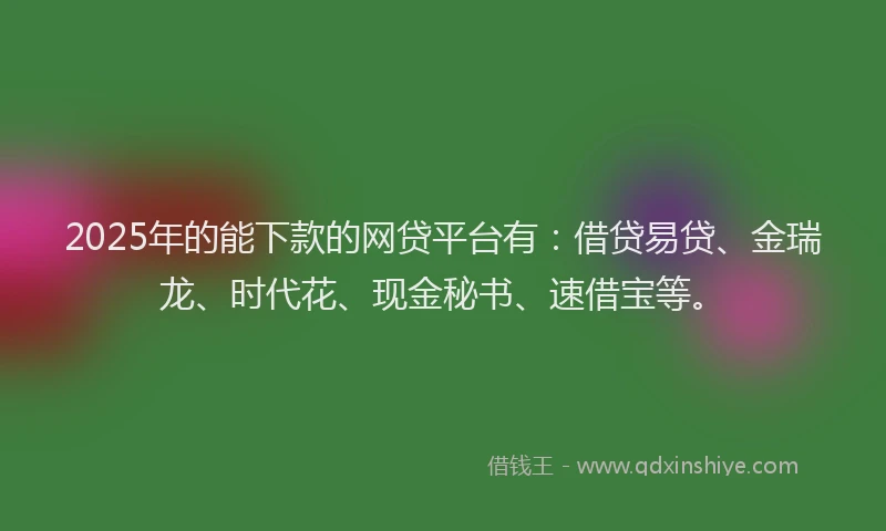 2025年的能下款的网贷平台有：借贷易贷、金瑞龙、时代花、现金秘书、速借宝等。