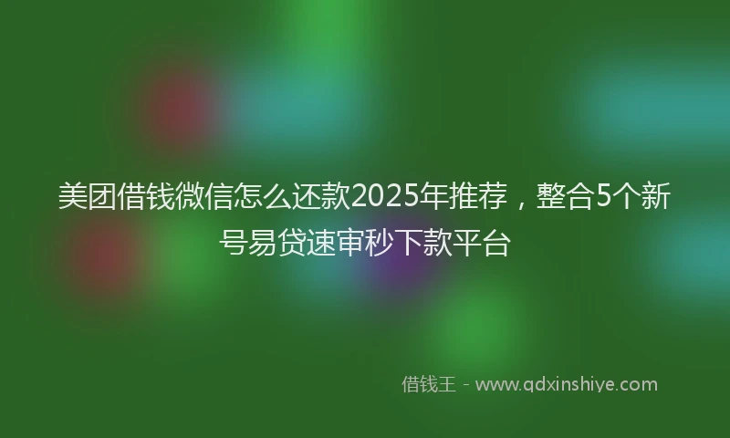 美团借钱微信怎么还款2025年推荐，整合5个新号易贷速审秒下款平台