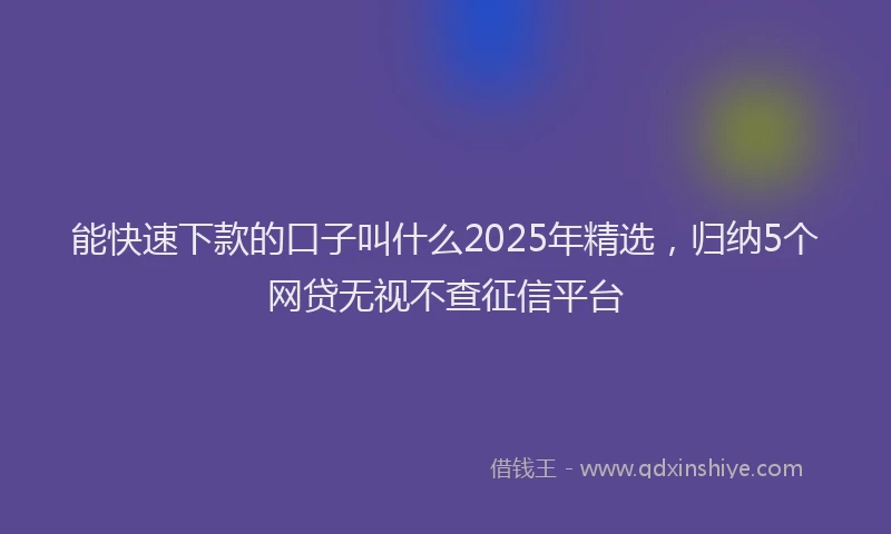 能快速下款的口子叫什么2025年精选，归纳5个网贷无视不查征信平台