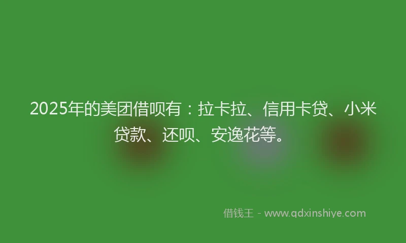 2025年的美团借呗有：拉卡拉、信用卡贷、小米贷款、还呗、安逸花等。