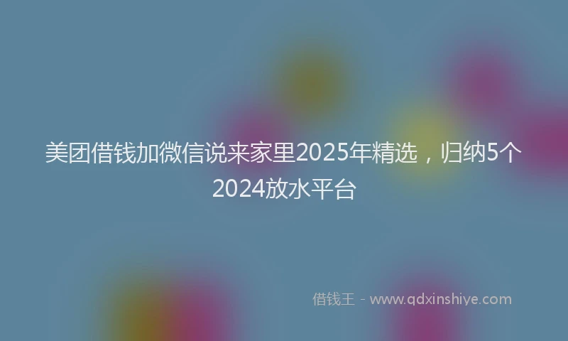 美团借钱加微信说来家里2025年精选，归纳5个2024放水平台
