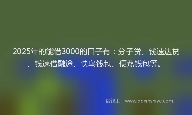 2025年的能借3000的口子有：分子贷、钱速达贷、钱速借融途、快鸟钱包、便荔钱包等。