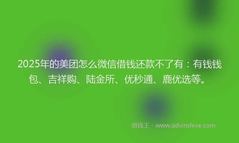 2025年的美团怎么微信借钱还款不了有：有钱钱包、吉祥购、陆金所、优秒通、鹿优选等。