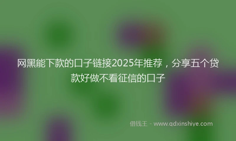 网黑能下款的口子链接2025年推荐，分享五个贷款好做不看征信的口子