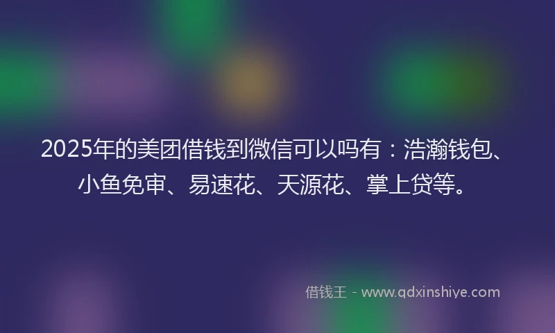 2025年的美团借钱到微信可以吗有：浩瀚钱包、小鱼免审、易速花、天源花、掌上贷等。