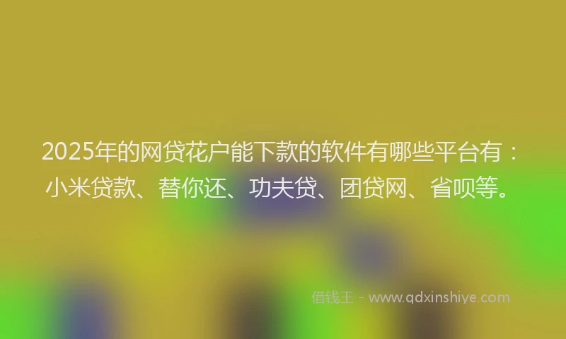 2025年的网贷花户能下款的软件有哪些平台有：小米贷款、替你还、功夫贷、团贷网、省呗等。