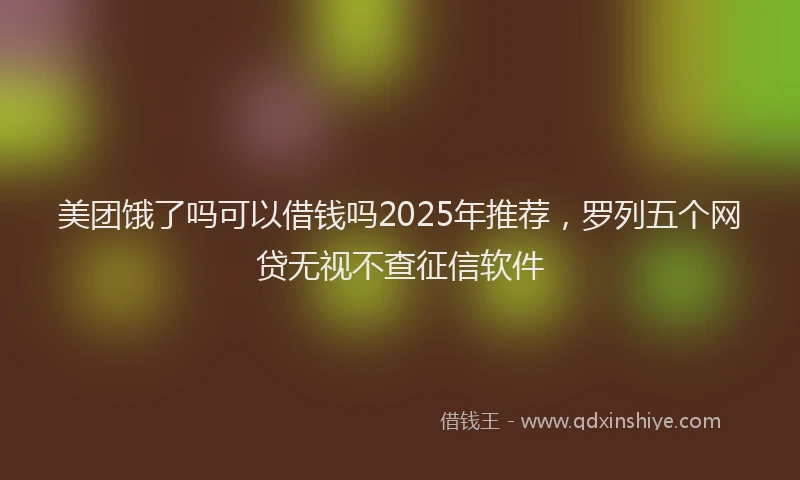 美团饿了吗可以借钱吗2025年推荐，罗列五个网贷无视不查征信软件