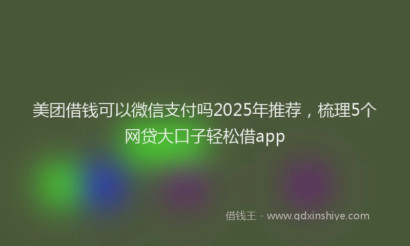 美团借钱可以微信支付吗2025年推荐，梳理5个网贷大口子轻松借app