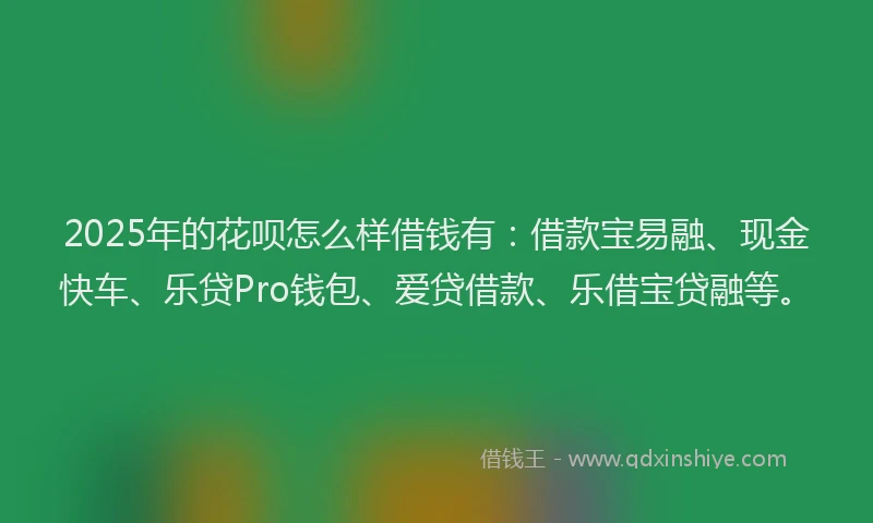 2025年的花呗怎么样借钱有：借款宝易融、现金快车、乐贷Pro钱包、爱贷借款、乐借宝贷融等。
