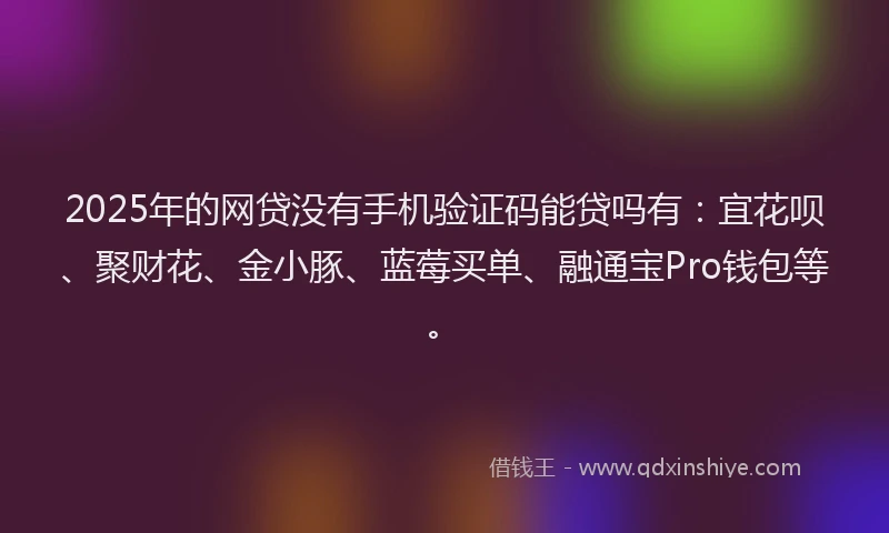 2025年的网贷没有手机验证码能贷吗有：宜花呗、聚财花、金小豚、蓝莓买单、融通宝Pro钱包等。