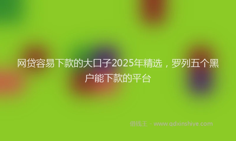 网贷容易下款的大口子2025年精选，罗列五个黑户能下款的平台