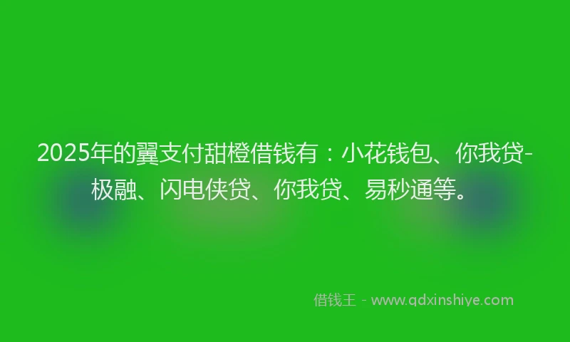 2025年的翼支付甜橙借钱有：小花钱包、你我贷-极融、闪电侠贷、你我贷、易秒通等。