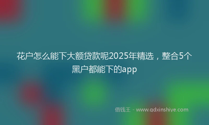花户怎么能下大额贷款呢2025年精选，整合5个黑户都能下的app