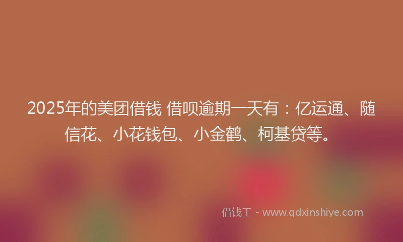 2025年的美团借钱 借呗逾期一天有：亿运通、随信花、小花钱包、小金鹤、柯基贷等。