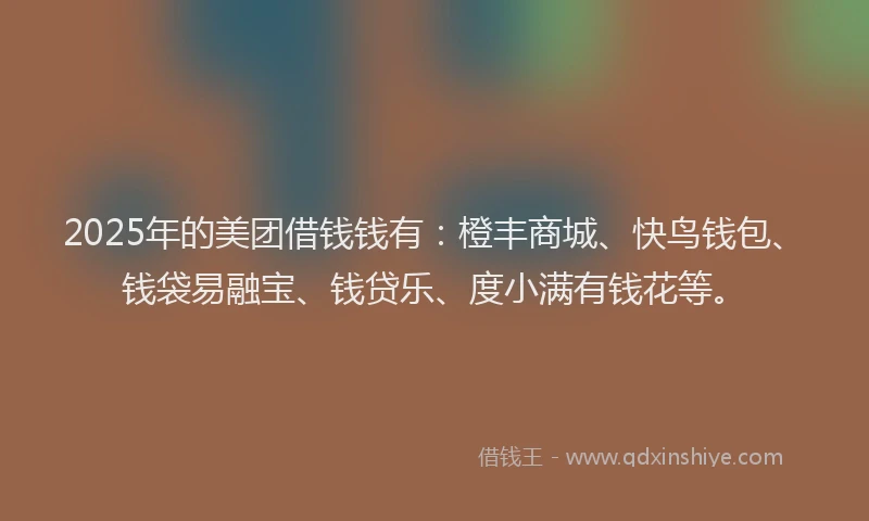 2025年的美团借钱钱有：橙丰商城、快鸟钱包、钱袋易融宝、钱贷乐、度小满有钱花等。