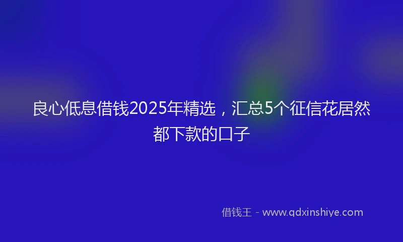 良心低息借钱2025年精选，汇总5个征信花居然都下款的口子