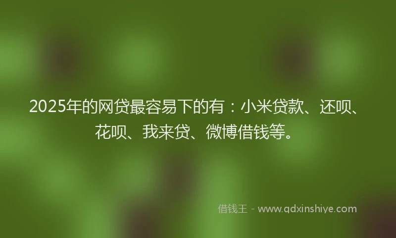 2025年的网贷最容易下的有：小米贷款、还呗、花呗、我来贷、微博借钱等。