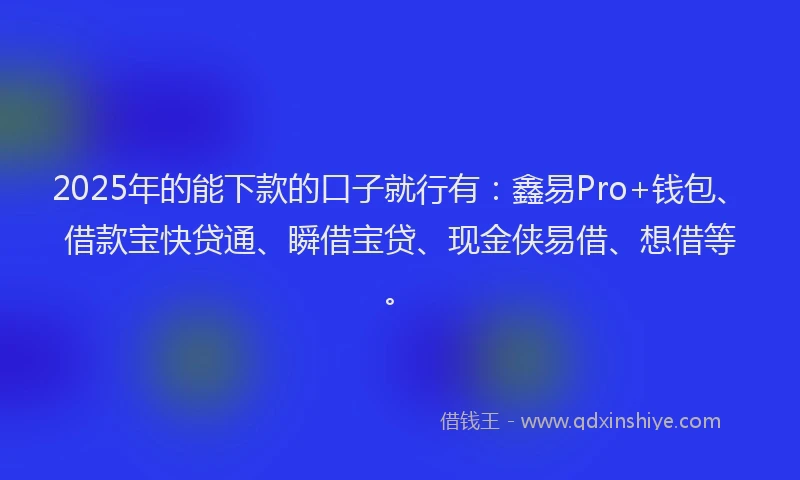 2025年的能下款的口子就行有：鑫易Pro+钱包、借款宝快贷通、瞬借宝贷、现金侠易借、想借等。