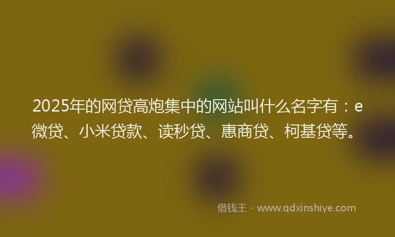 2025年的网贷高炮集中的网站叫什么名字有：e微贷、小米贷款、读秒贷、惠商贷、柯基贷等。