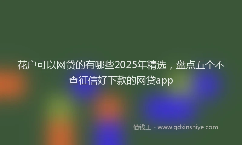 花户可以网贷的有哪些2025年精选，盘点五个不查征信好下款的网贷app