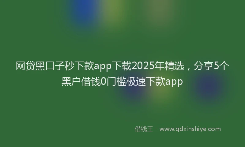 网贷黑口子秒下款app下载2025年精选，分享5个黑户借钱0门槛极速下款app